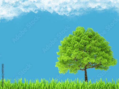 Green environment and tree on blue sky