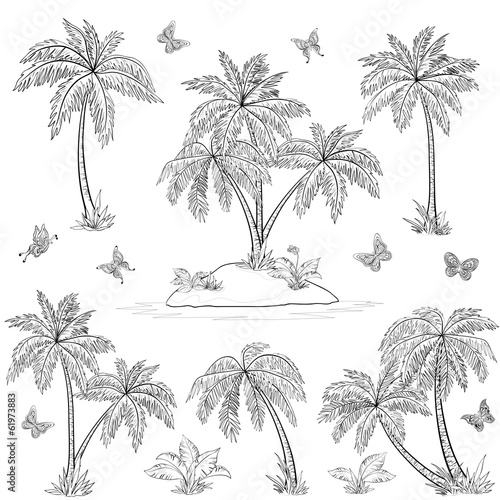 Tropical island, palms and butterflies outline