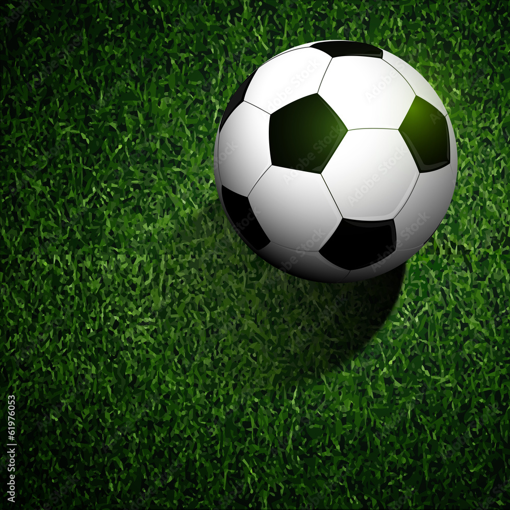 soccer ball on green grass soccer ball on green grass