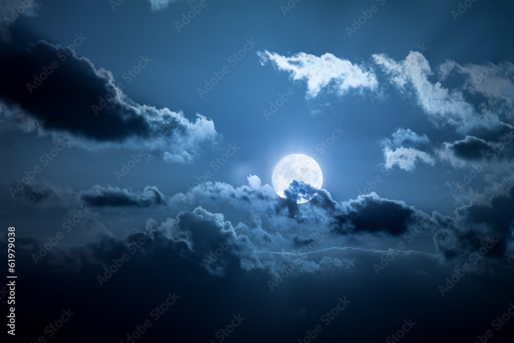 full moon night - obrazy, fototapety, plakaty 