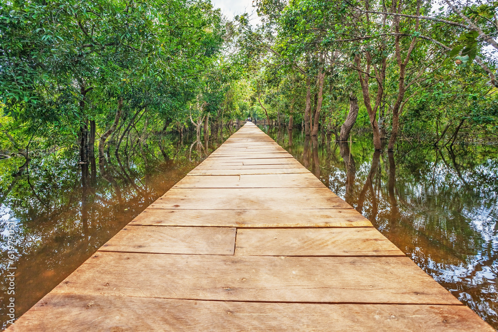 Obraz premium wooden bridge in the jungle.