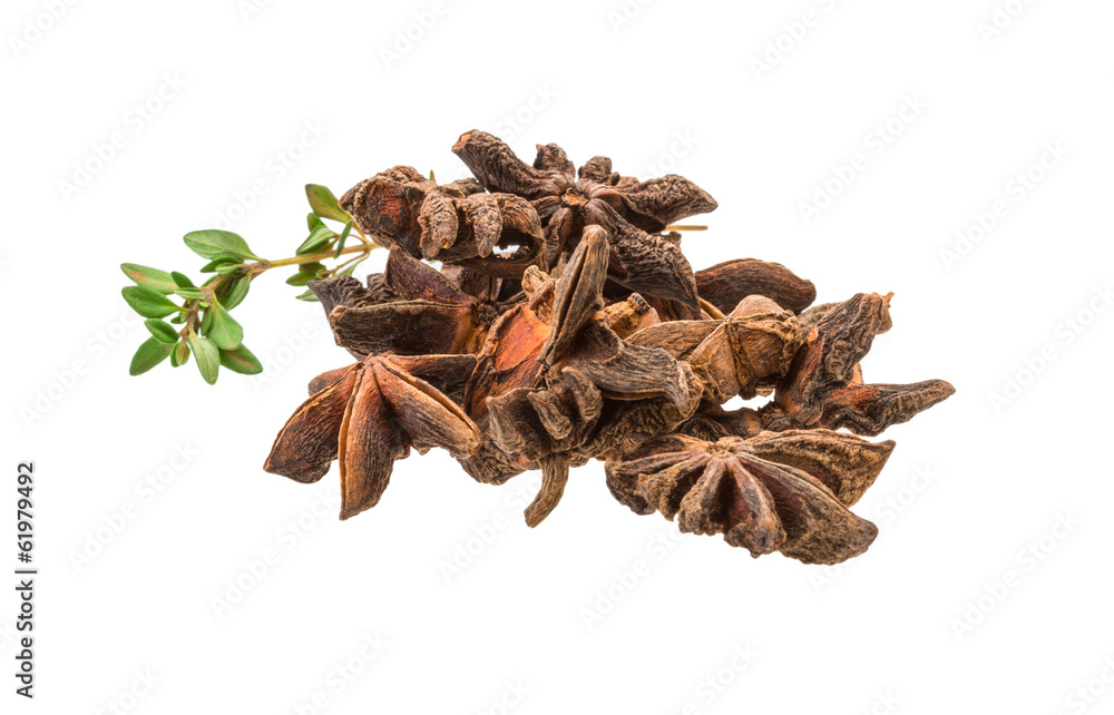 Obraz premium Star-anise