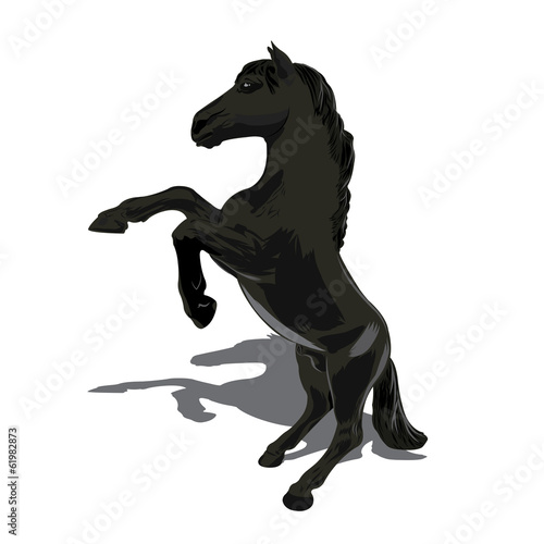 Rearing horse fine vector silhouette