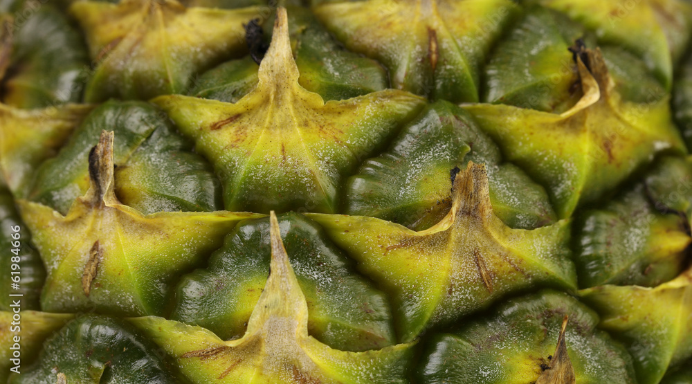 Close up texture of fresh ripe pineapple. Close up texture of fresh ripe pineapple.