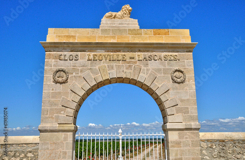 Clos Leoville Lascase vineyardin Saint Julien Beychevelle photo