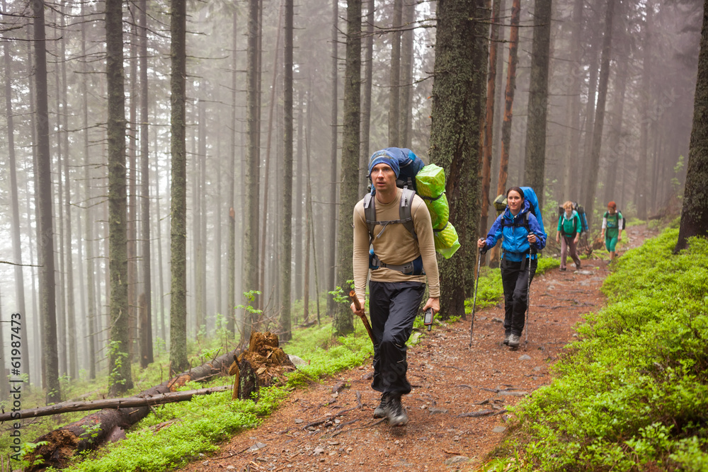 Young people are hiking in deep forest on cloudy day