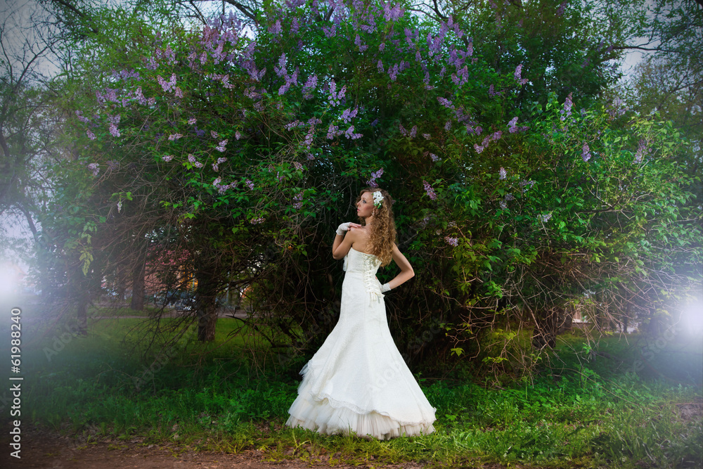 Beautiful bride in a white dress on a lilac background in spring