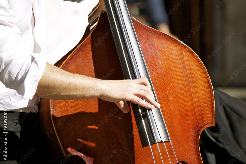Obraz premium Contrabbasso