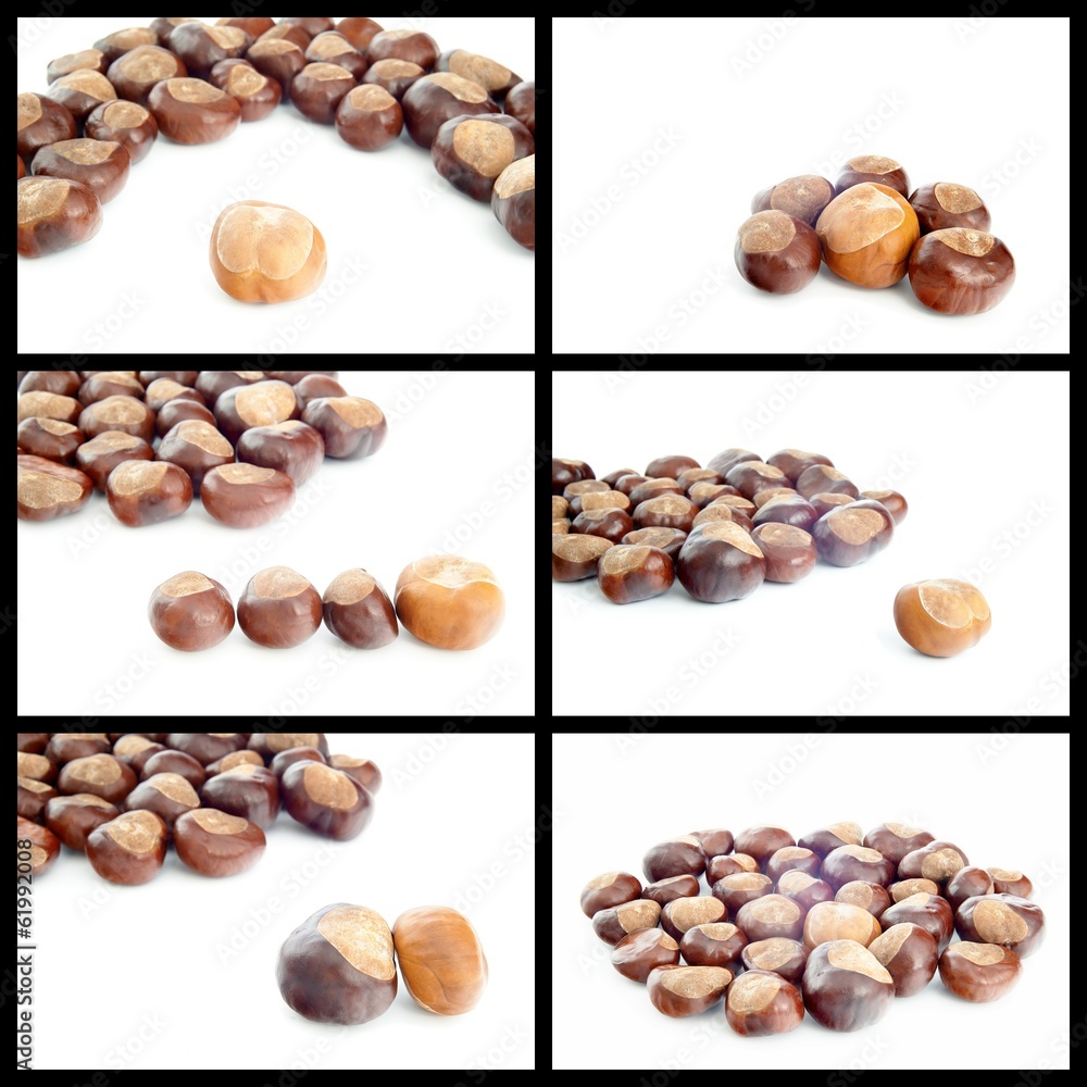 Fototapeta premium Chestnuts