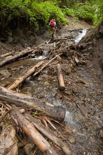 Wallpaper Mural Young people are hiking in deep forest in summertime Torontodigital.ca