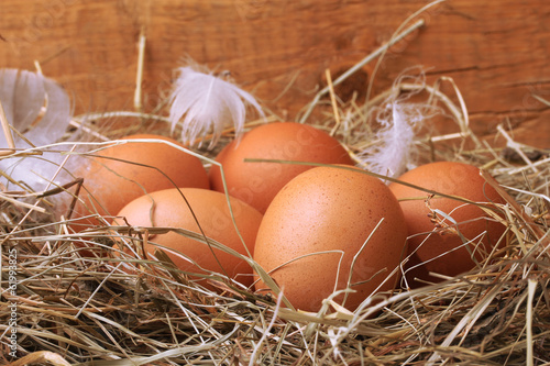 chicken eggs in a nest on wooden background