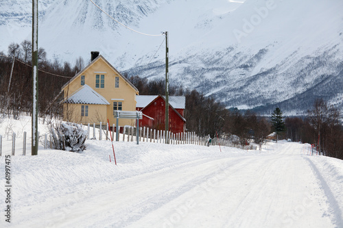 Snowy road in norwegian countryside
