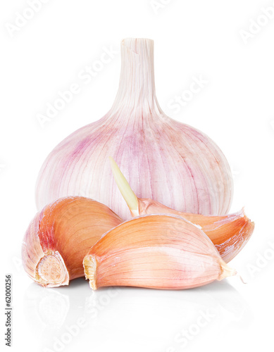 garlic photo