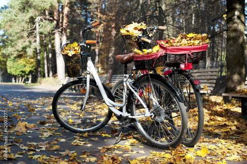 Two bicycles in autumn park with yellow tree leaves