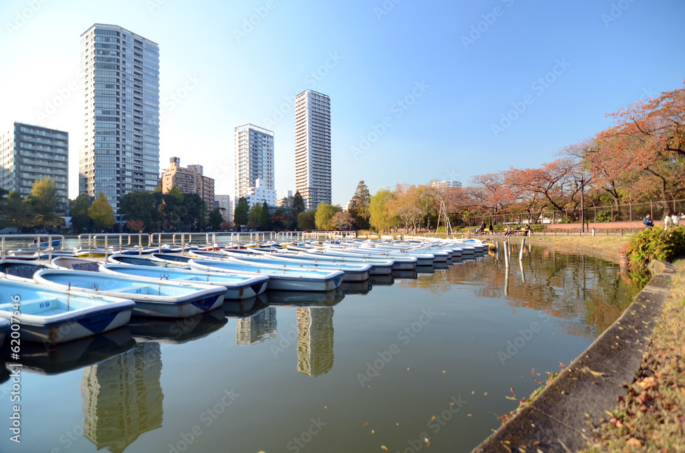 Fototapeta premium Lake in Ueno Park, Tokyo