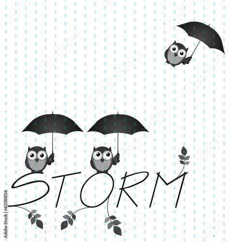 Monochrome Owl storm twig text