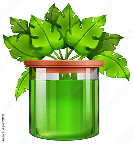 A jar with a green plant