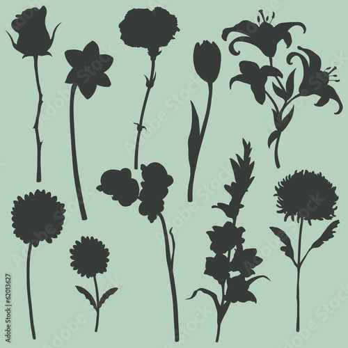 Fototapeta Naklejka Na Ścianę i Meble -  Vector set of flowers silhouettes