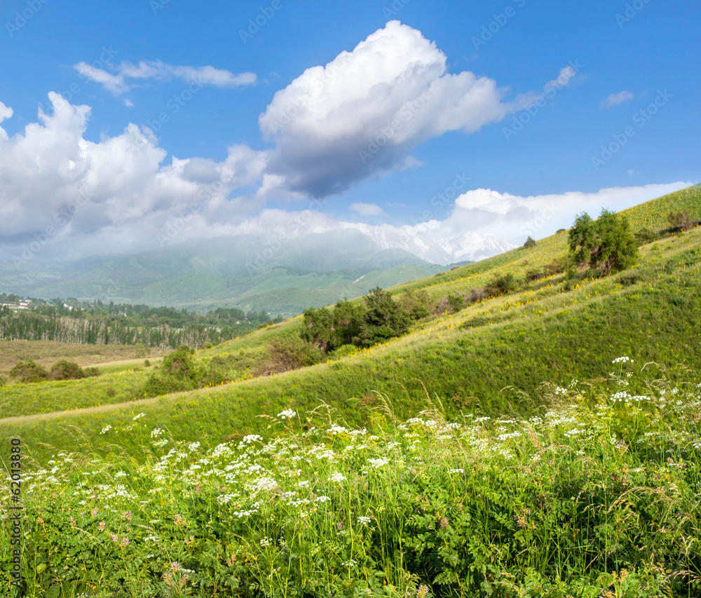 bright beautiful summer landscape with blue sky in a green valle