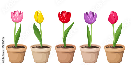 Fototapeta Naklejka Na Ścianę i Meble -  Tulips in pots. Vector illustration.