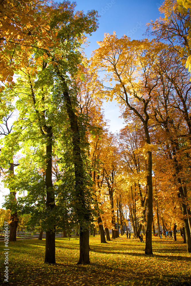 Autumn in park