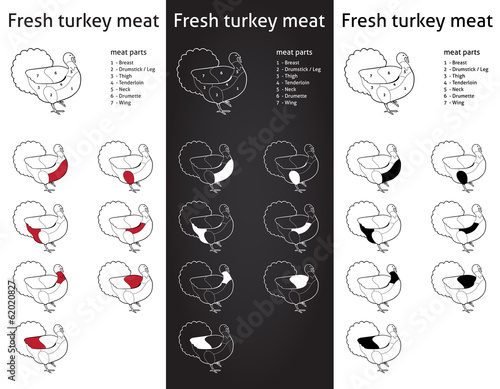 Fresh Turkey meat parts Icons for packaging and info-graphic