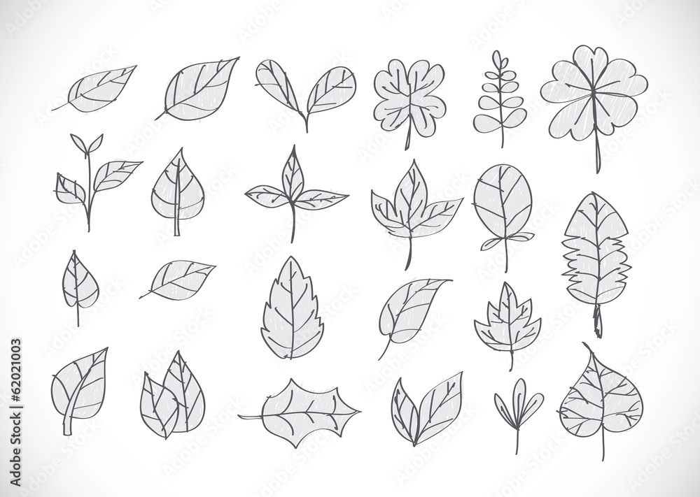 Leaf icon Leaf icon