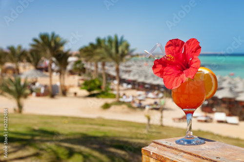 hibiscus and cocktail against tropical sea resort beach photo