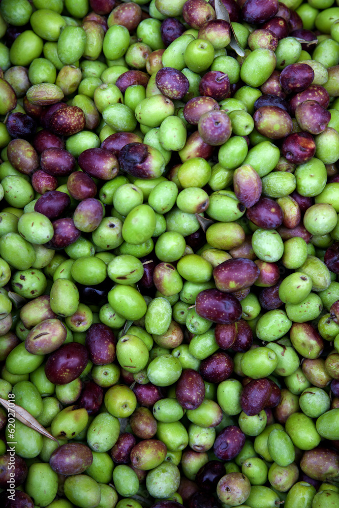 Frische schwarze und grüne Oliven auf einem Markt Frische schwarze und grüne Oliven auf einem Markt