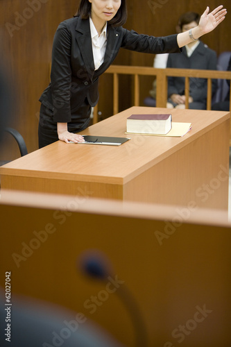 lawyer expressing his opinion to judge