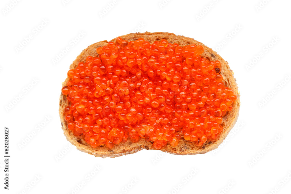 caviar sandwich isolated on a white background caviar sandwich isolated on a white background