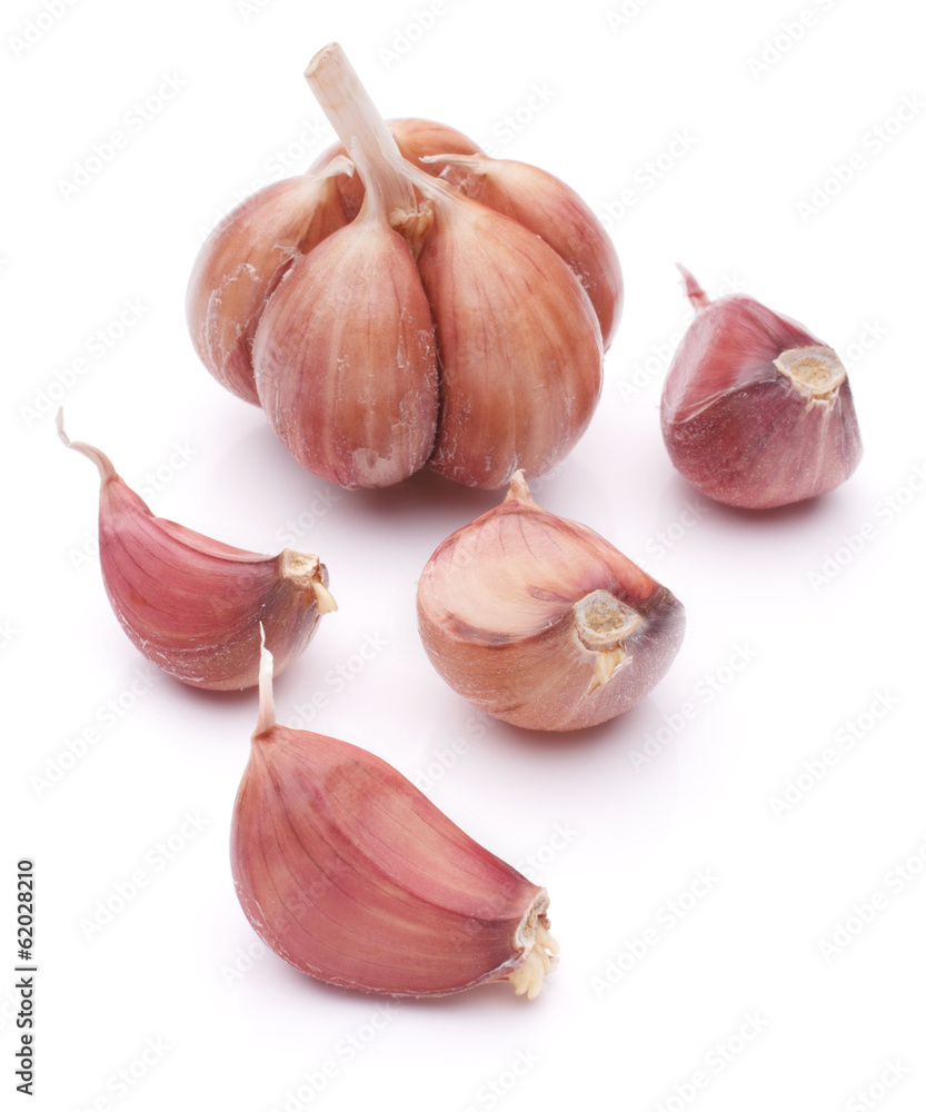 Obraz premium Garlic bulb isolated on white background cutout