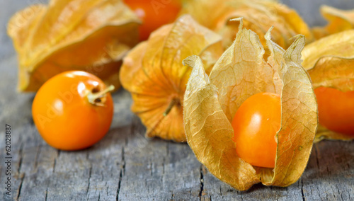 Physalis fruit