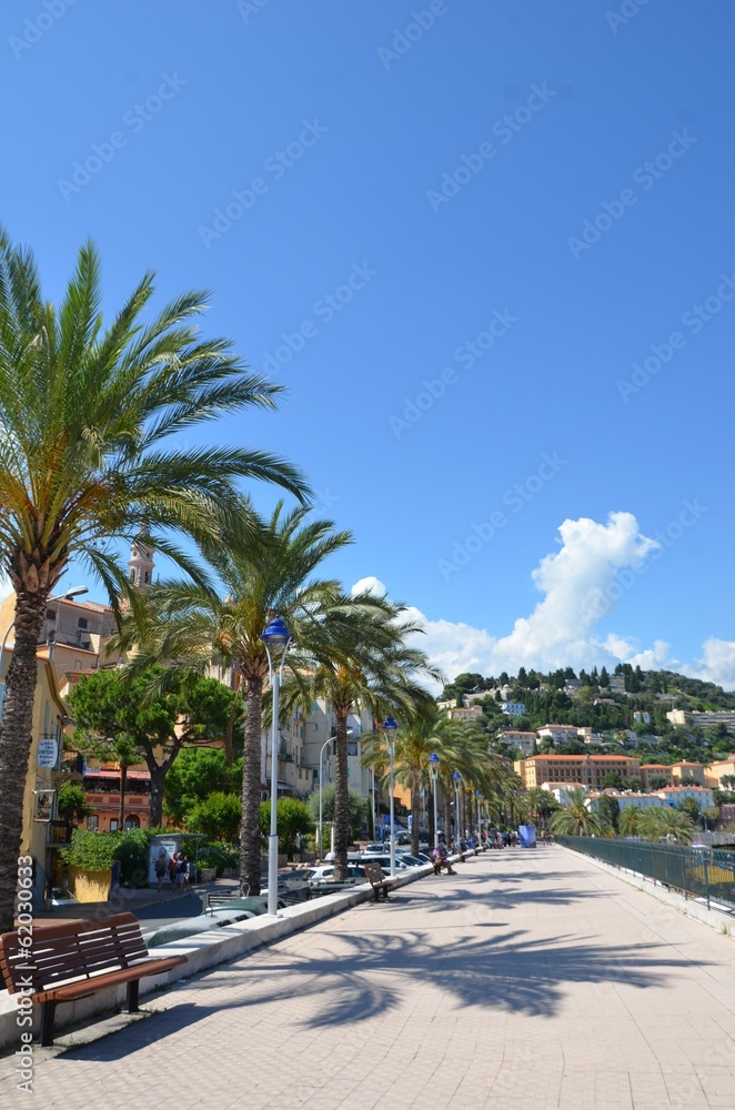 Ville de Menton, promenade, palmiers Ville de Menton, promenade, palmiers