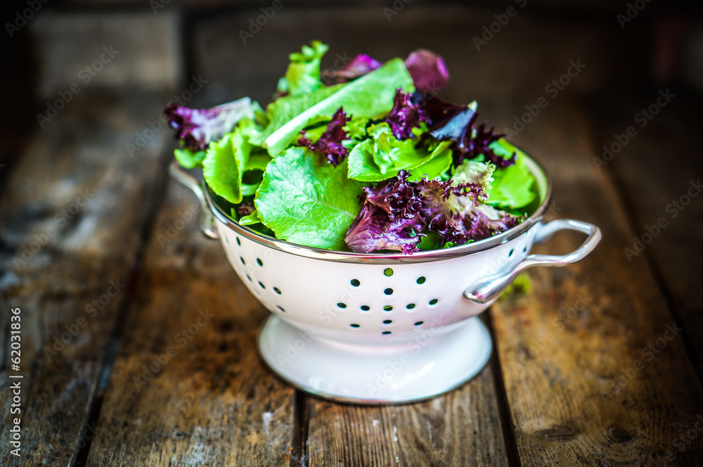 Fresh green salad with spinach,arugula,romane and lettuce Fresh green salad with spinach,arugula,romane and lettuce