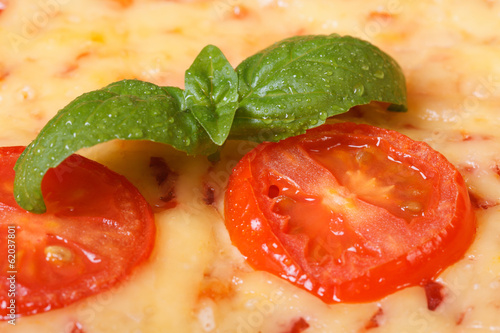tomato and basil macro on a margarita pizza