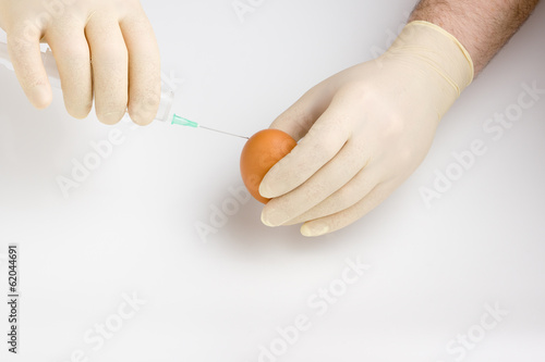 syringe and egg
