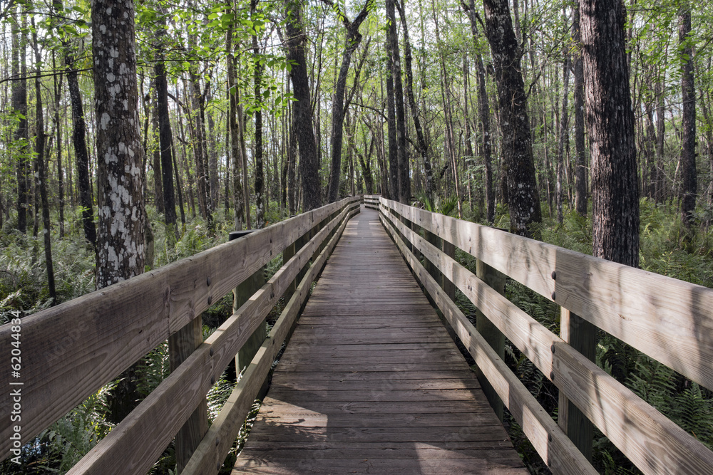 Long Boardwalk At Swamp Slough Preserve