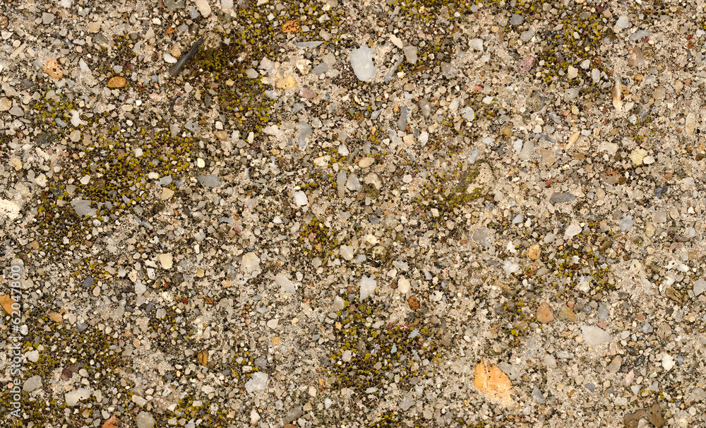 Obraz premium Tiny gravel texture