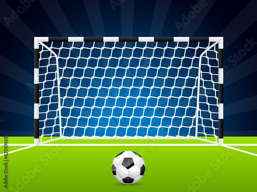 Soccer ball and gate with net