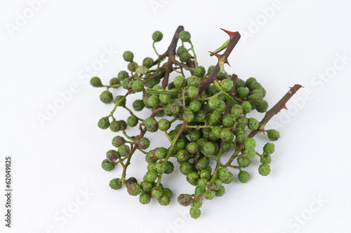 fresh Prickly Ash Peel with white background