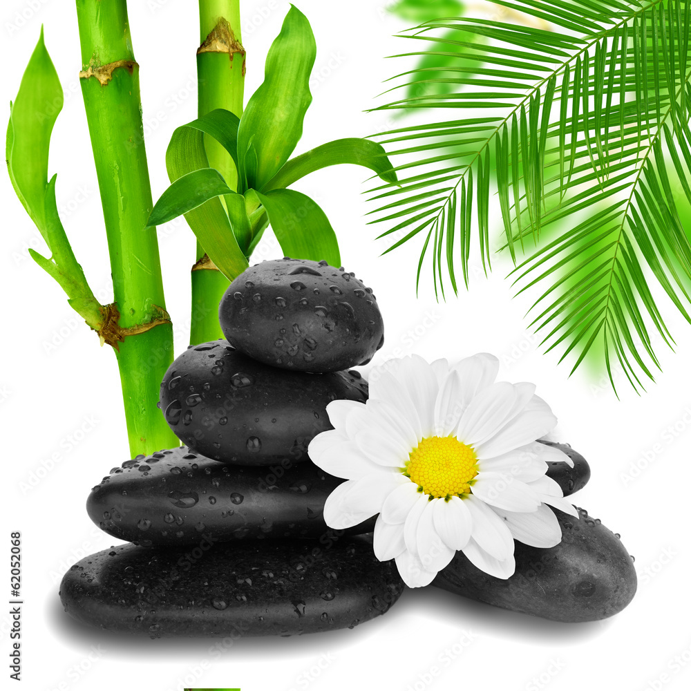 Naklejka premium camomile flower end bamboo