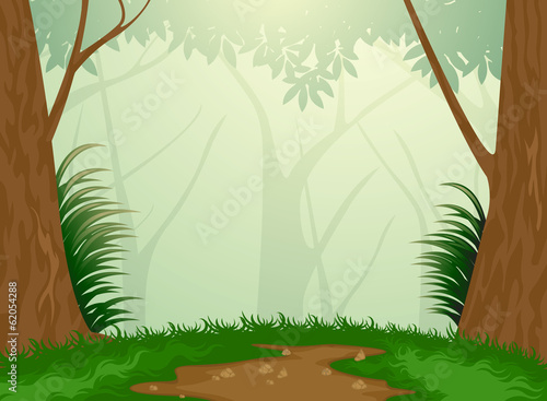 Beautiful tropical evergreen forest nature background