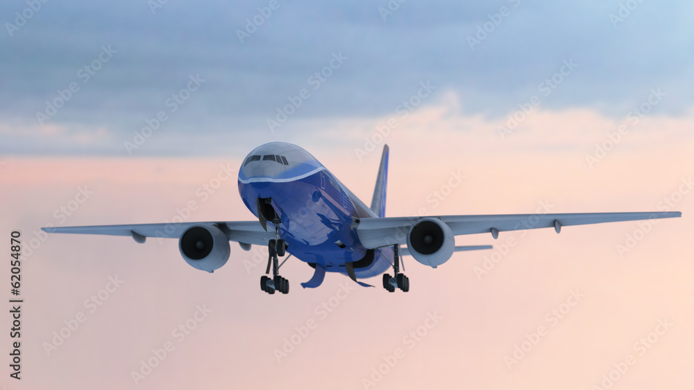 Naklejka premium Aiplane landing