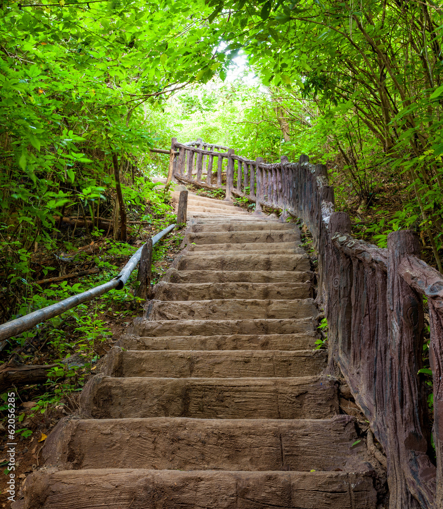 Naklejka premium Stairway to forest