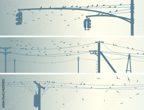 Horizontal banners of flock birds on city power lines.