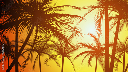 Horizontal illustration silhouettes of palms. #62056825