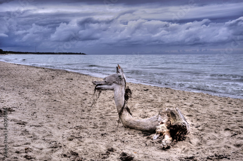 Am Darßer Weststrand, HDR photo