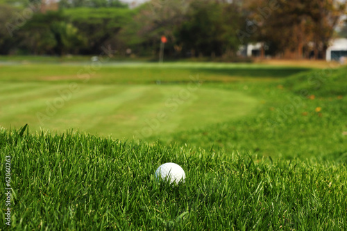 Фотография Golf ball in rough grass near the putting green