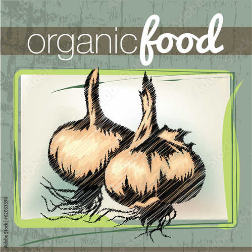 Organic Food illustration